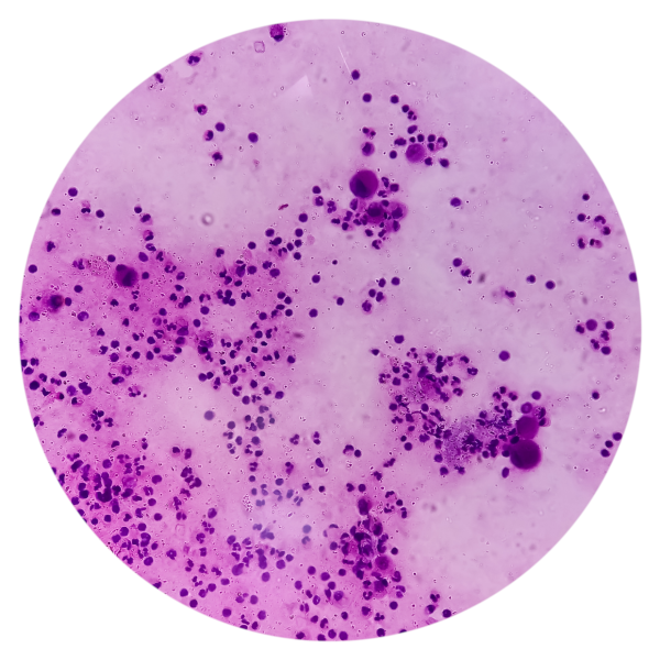 Cytology
