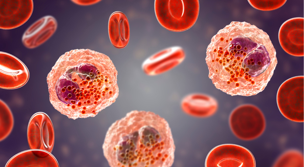 Haematology Haematology