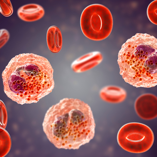 Haematology