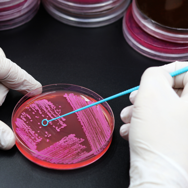 microbiology